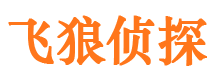 西城市私家侦探